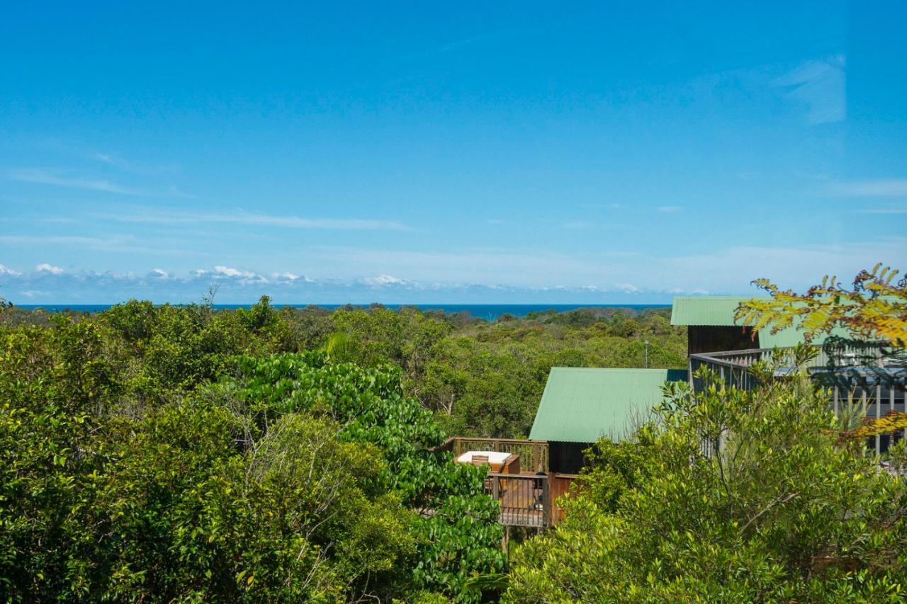 The Oasis Apartments And Treetop Houses Байрон-Бей Екстер'єр фото